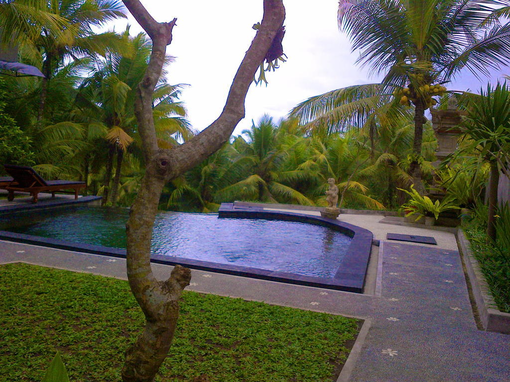 Dewa House Bisma Hotel Ubud Kültér fotó